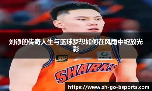 b体育直播平台